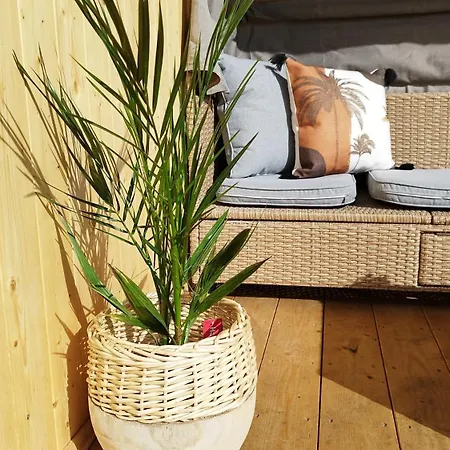 Zakatek * デンプキ